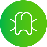 自分の歯のように噛みたい